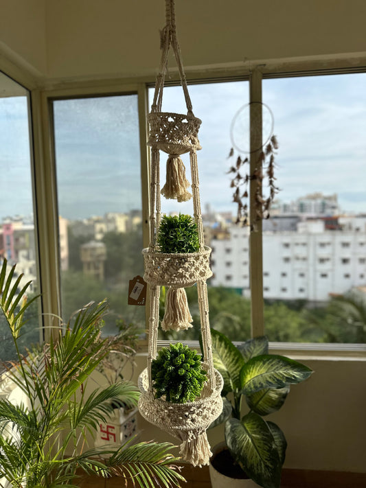 Planter Triple