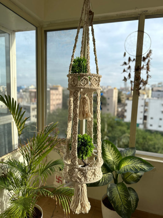 Planter Double