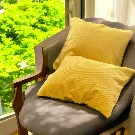 Monotonic Pillow Set